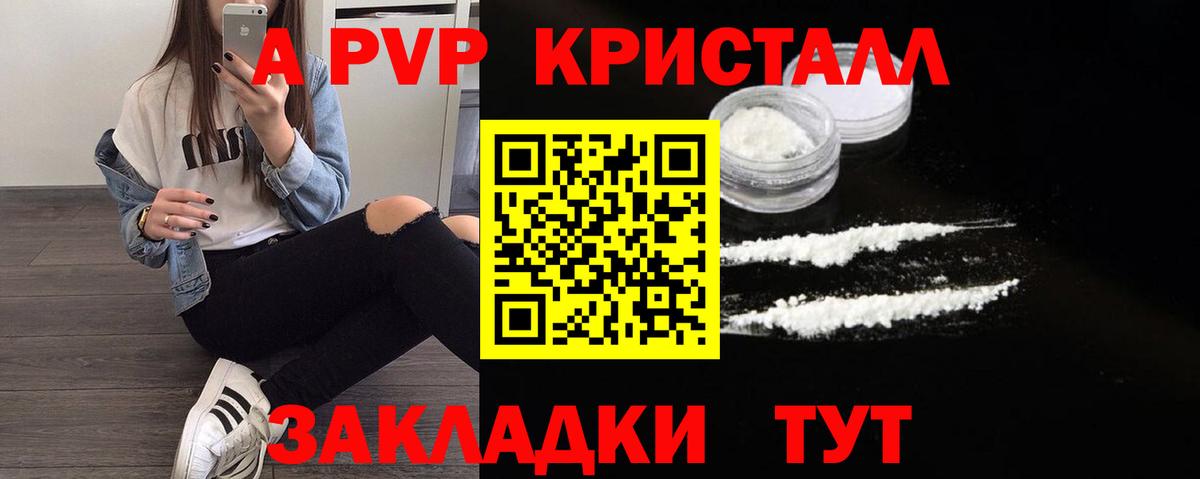 Альфа ПВП СК КРИС Салехард