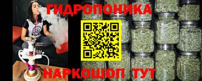 крисы Бугуруслан