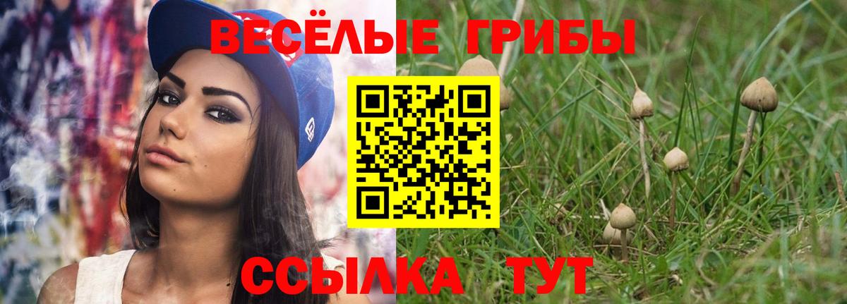 Салехард  магазин продажи   Вход с VPN  Галлюциногенные грибы Psilocybe 